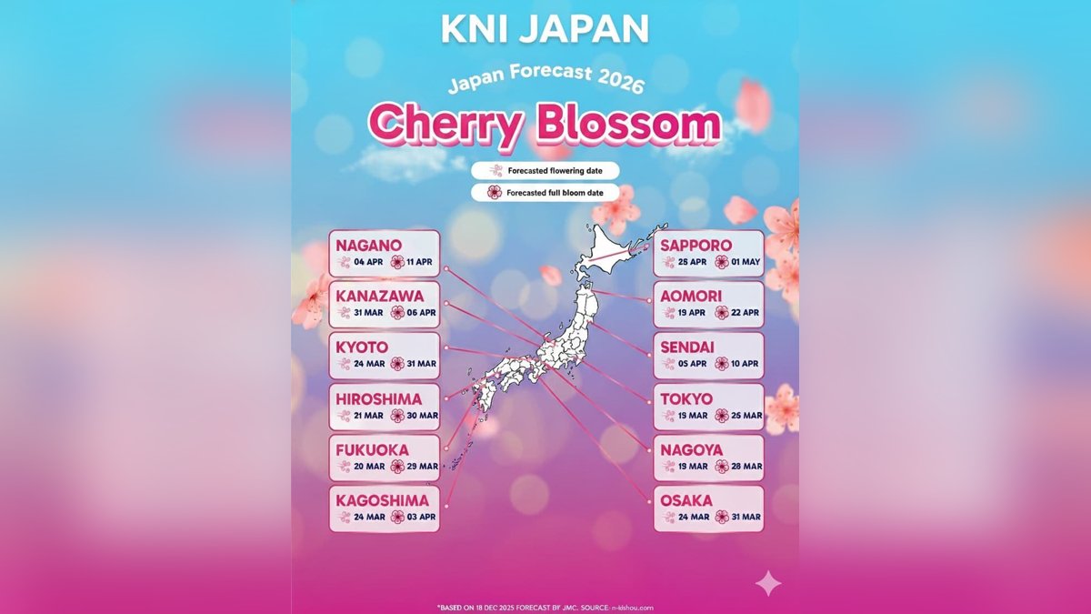 Cherry blossoms in full bloom at a Japanese temple