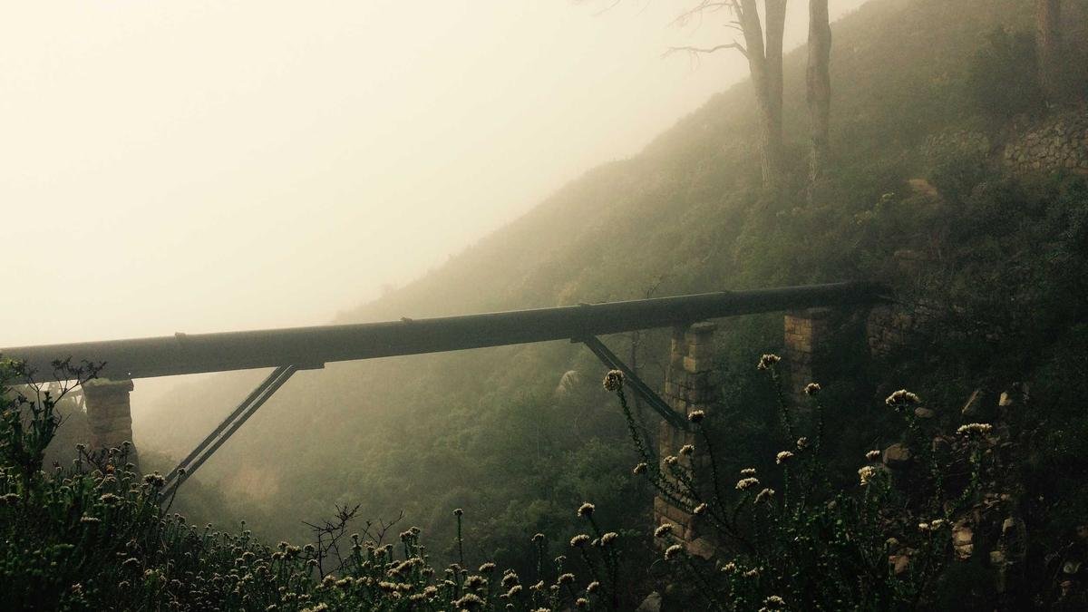 Digital Nomad Guide: Work from Anywhere — TripRoute